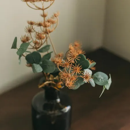 Sol Apartment