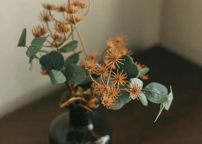 Maison Sol 아파트