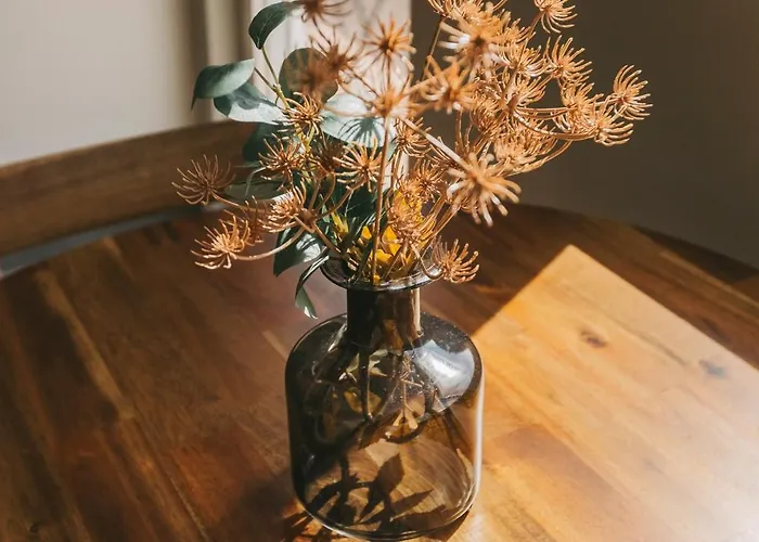 Maison Sol * 포르투